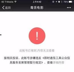 娱乐吃瓜的公众号,揭秘明星幕后故事